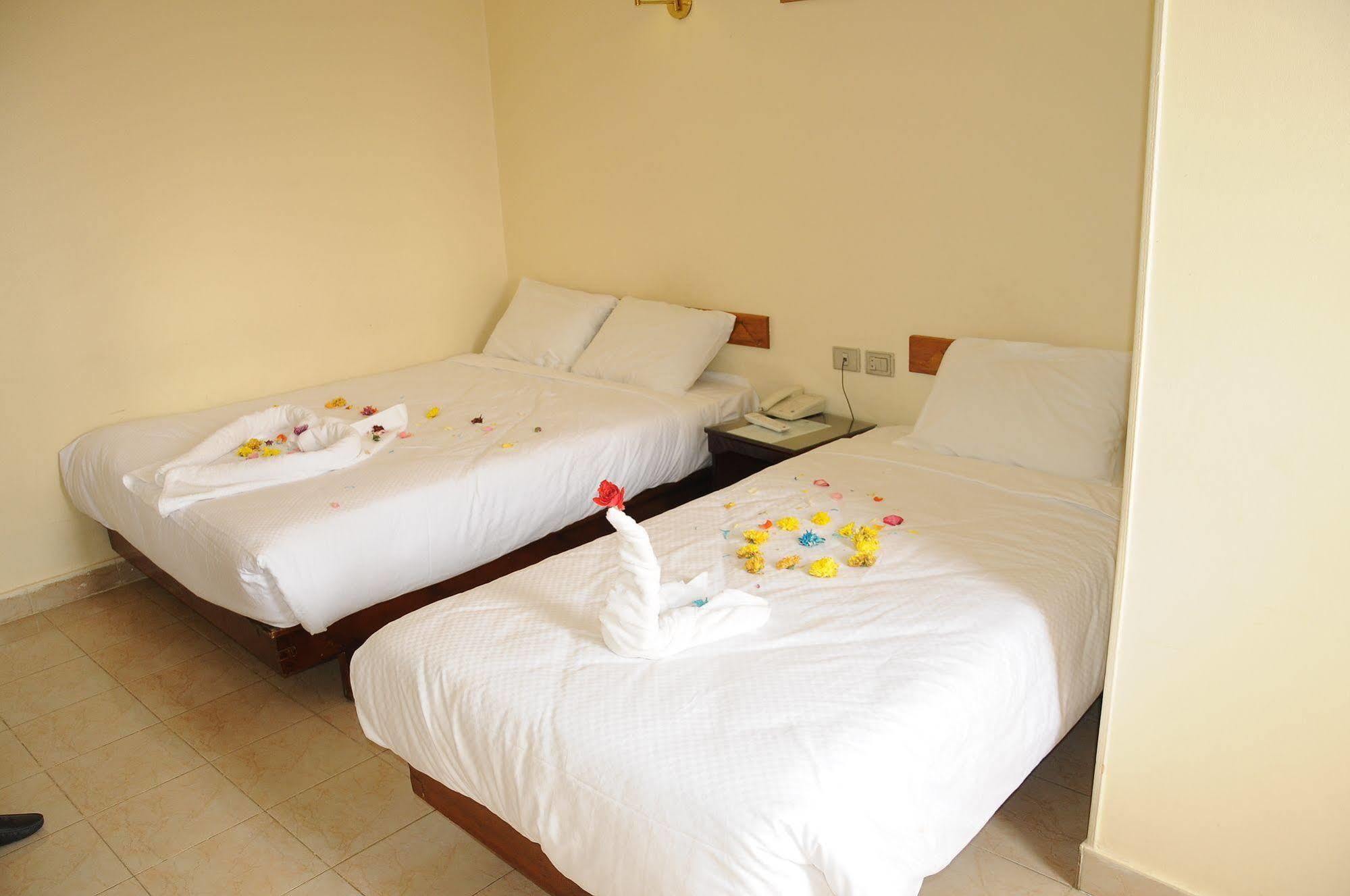 Nile Hotel Asvan Dış mekan fotoğraf