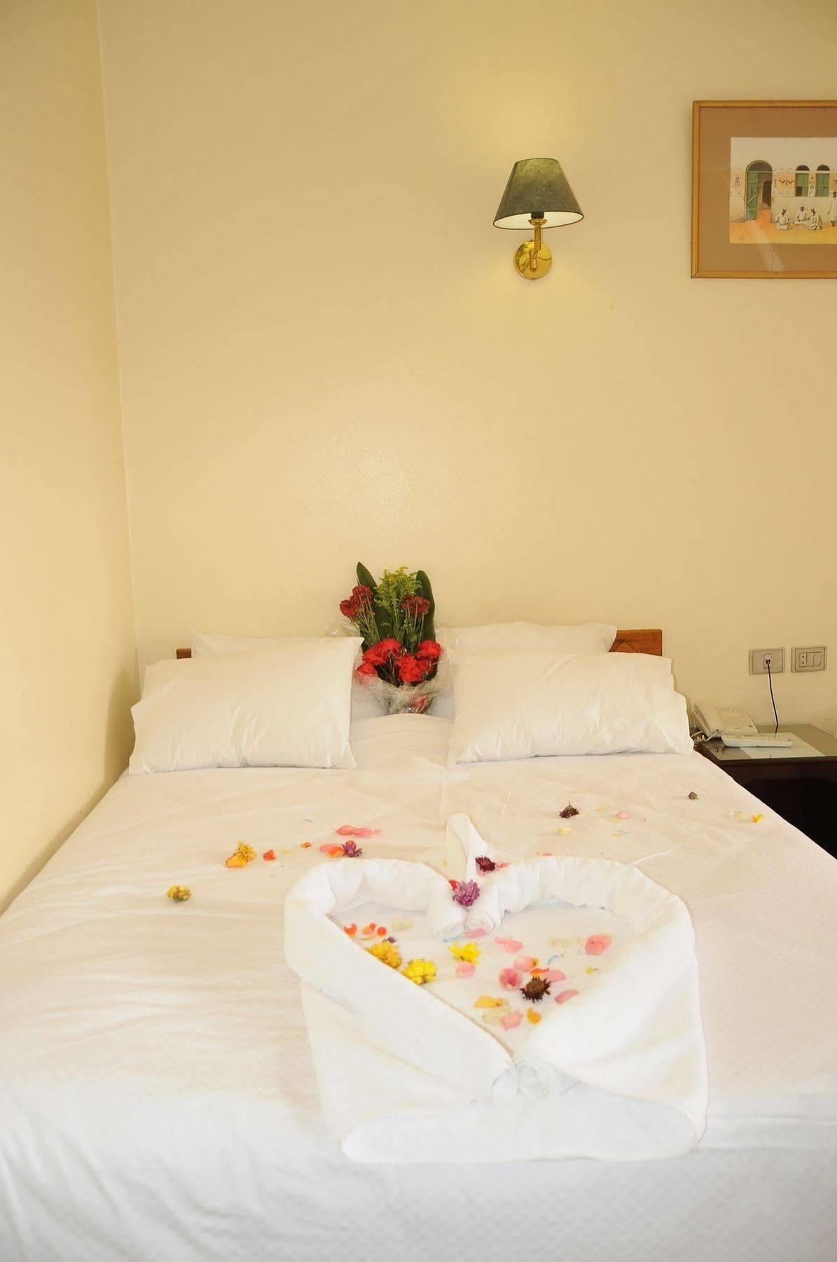 Nile Hotel Asvan Dış mekan fotoğraf